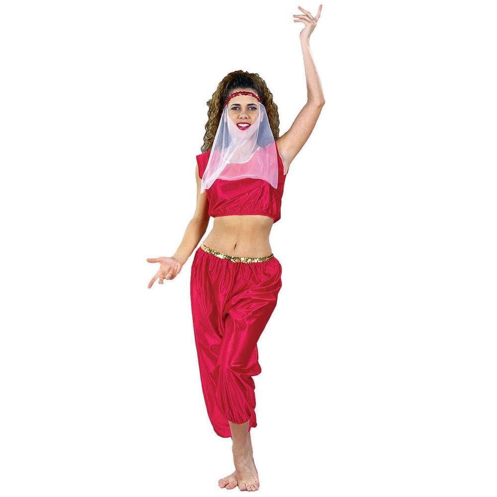 Costume RG Costumes Harem Girl Halter & Pants