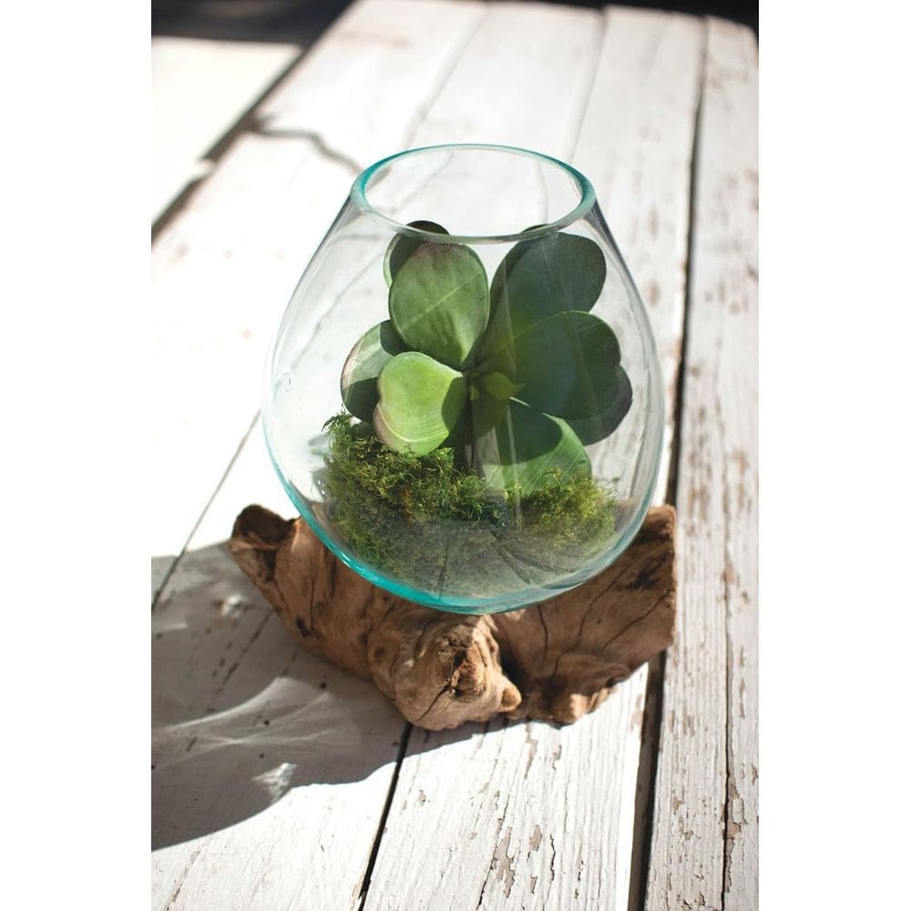 Taça de vidro com base de madeira flutuante da KALALOU 25x23x28 cm