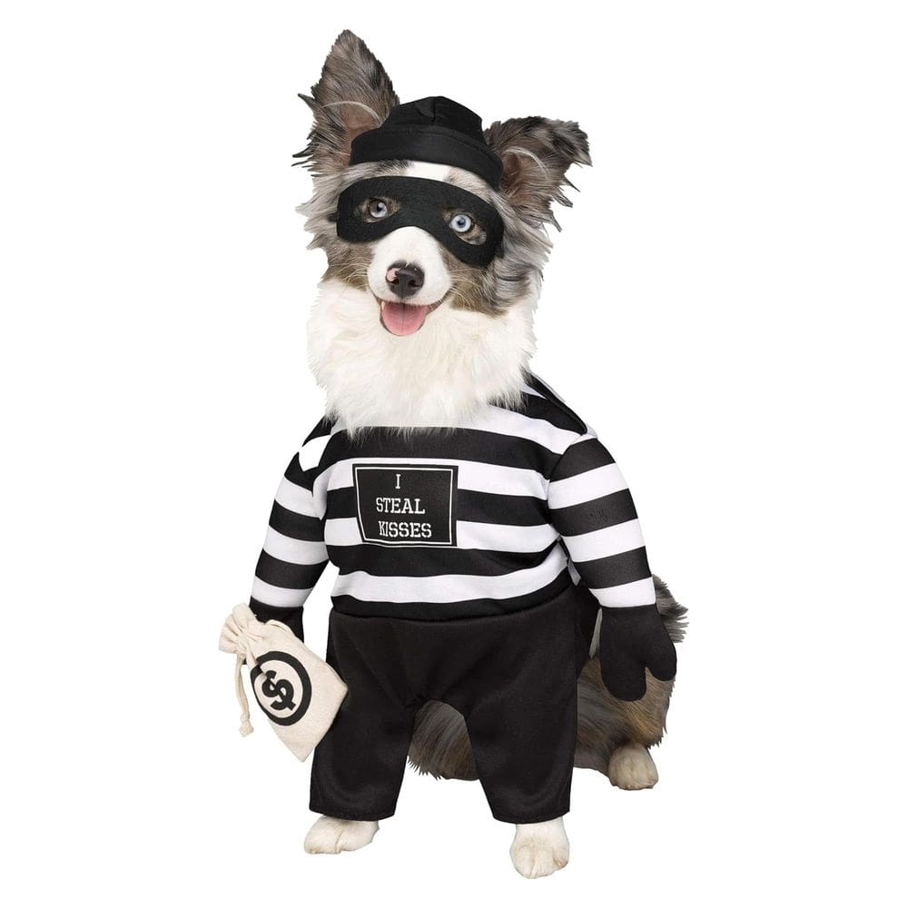 Fantasia para animais de estimação Fun World Robber Pup Large com boné e máscara para os olhos