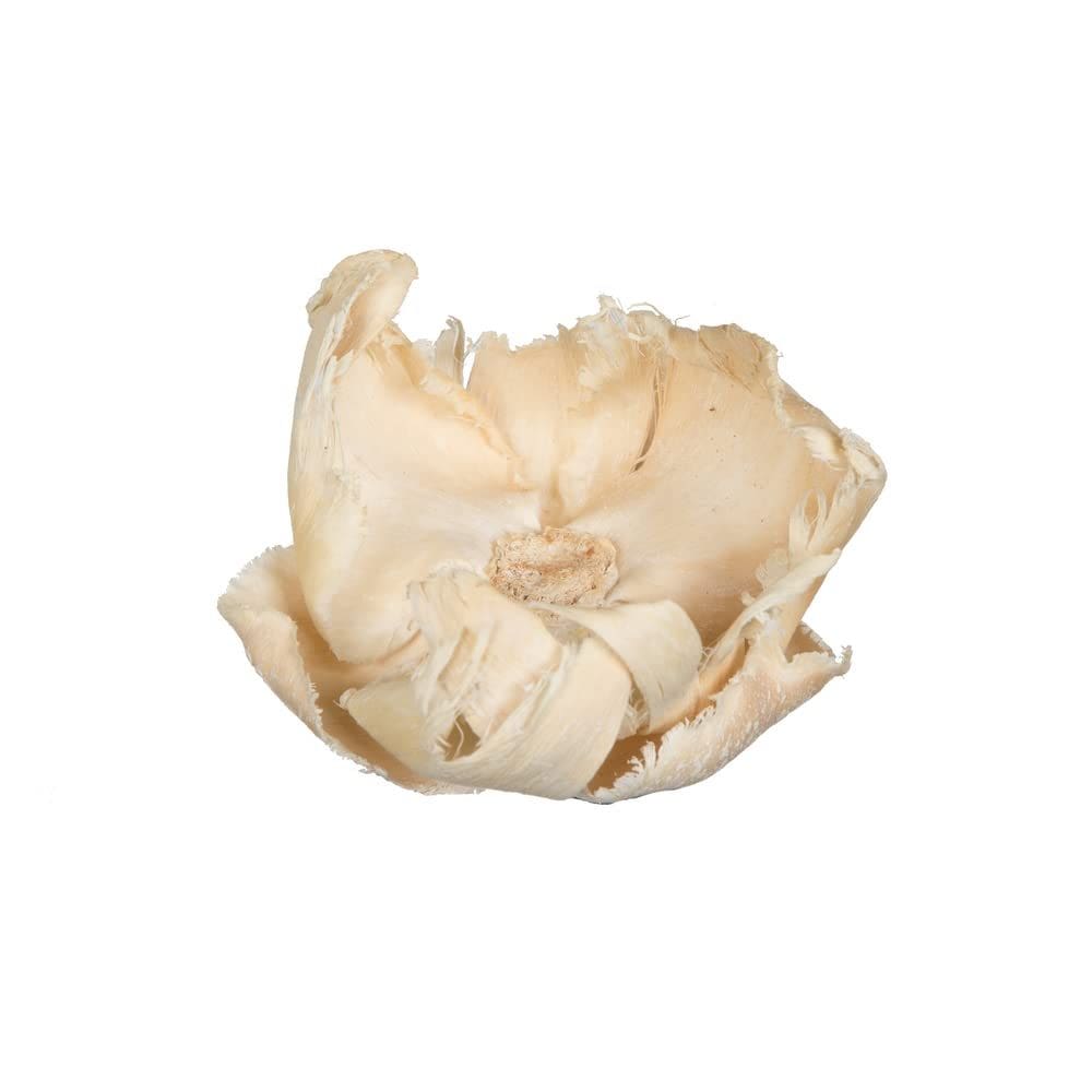 Boné de palma natural Botanicals Vickerman 2,75-3,6 cm branqueado x25