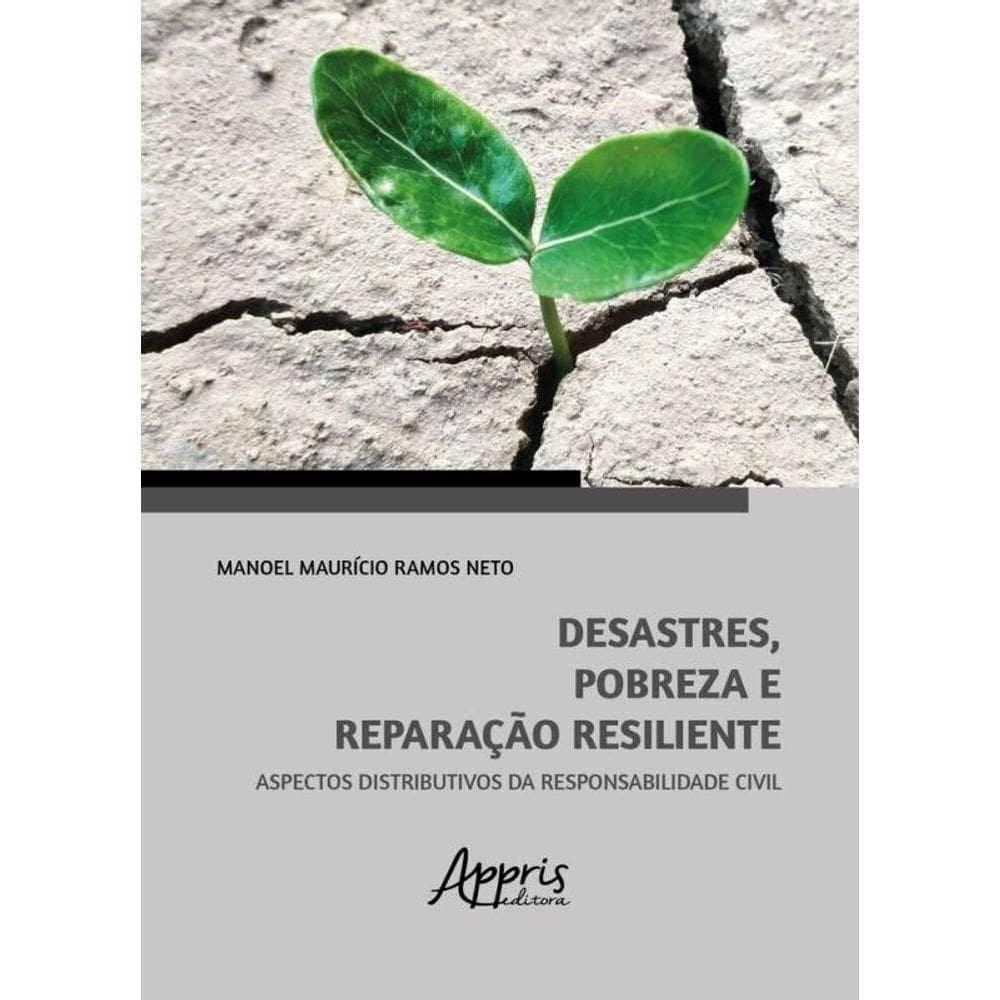 Desastres, Pobreza E Reparação Resiliente - Aspectos Distributivos Da Responsabilidade Civil