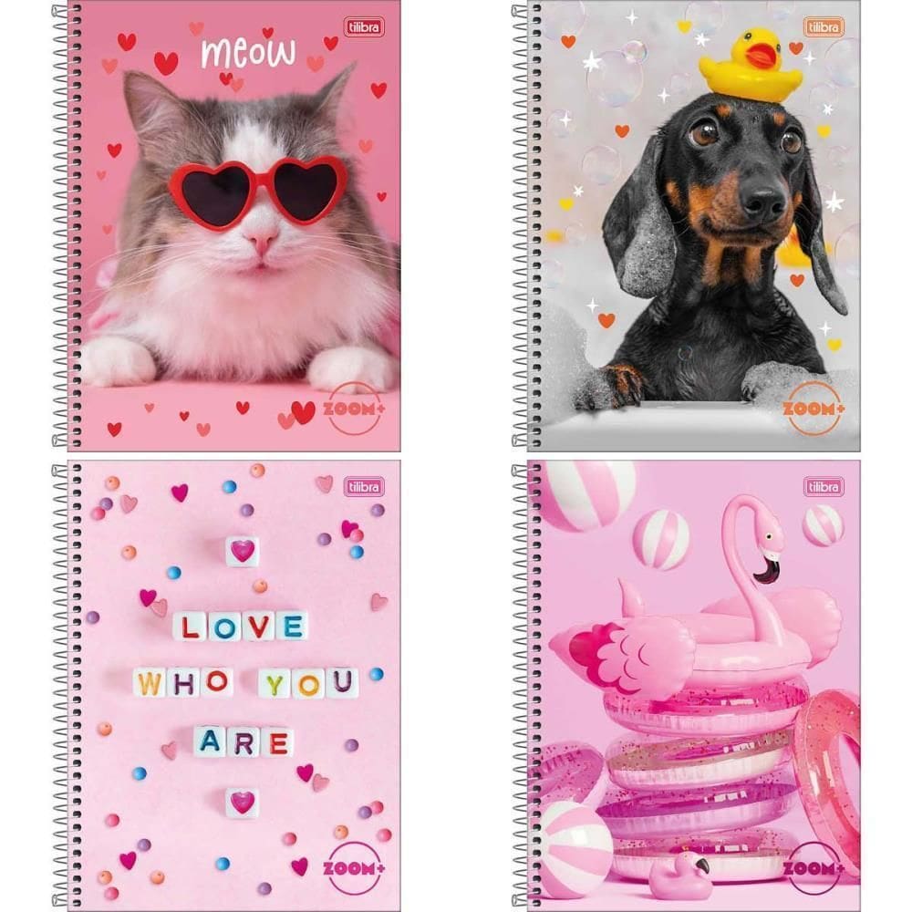 Caderno 12X1 Capa Dura Zoom+ 240 Folhas Feminino Pct.C/04