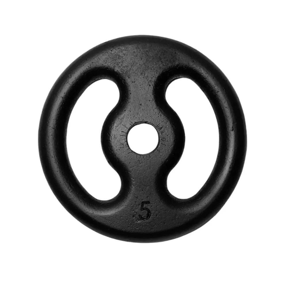 Anilha Fitness Ferro Pintada Academia Musculação Treino 5Kg