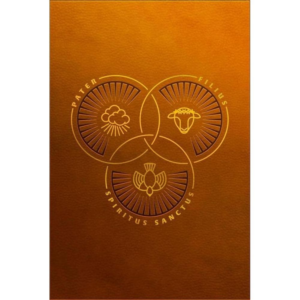 Biblia Trindade - Marrom - Letra Grande - Heziom