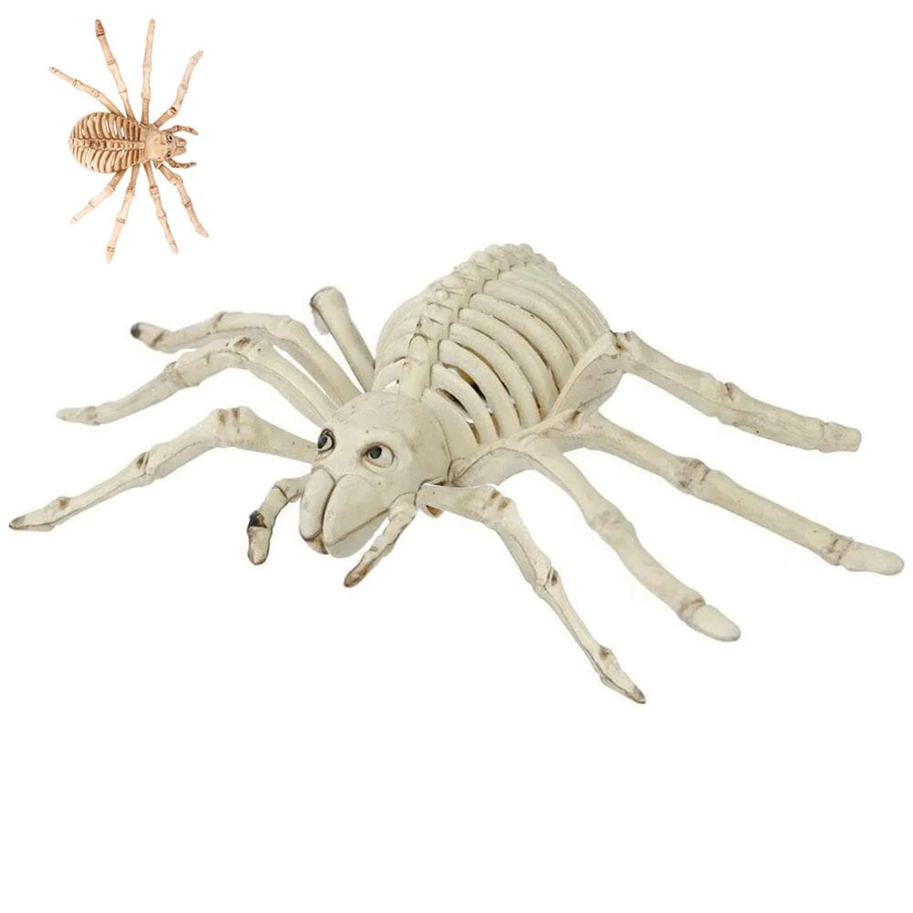 Aranha Esqueleto Halloween Decoraçao Dia das Bruxas Festa Tematica Susto Enfeite Horripilante Terror