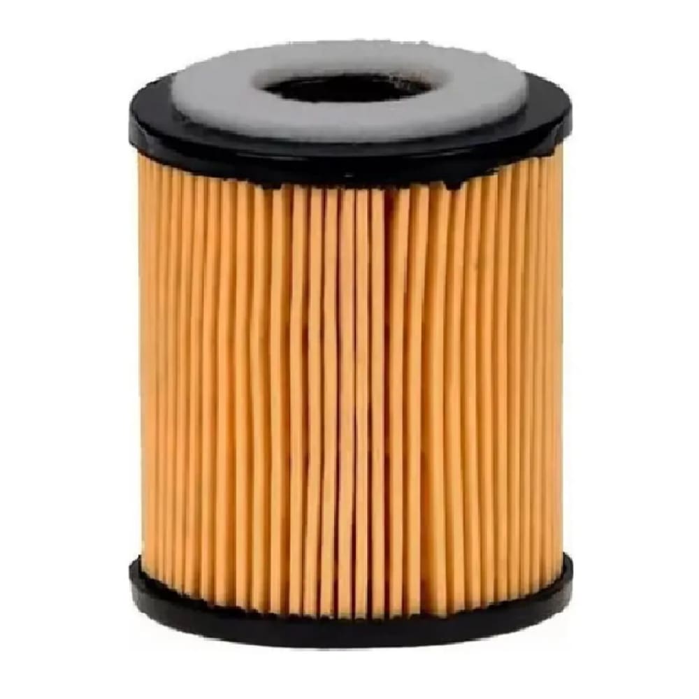 Ford Focus Filtro de Oleo Genuíno