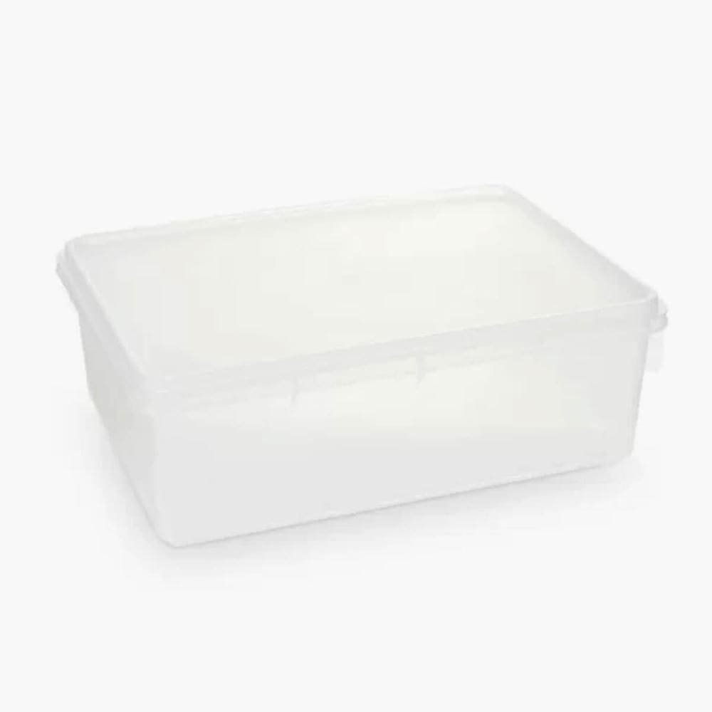 Caixa Organizadora Plástica Retangular 3,5L com Tampa Plasvale Brinquedos Closet