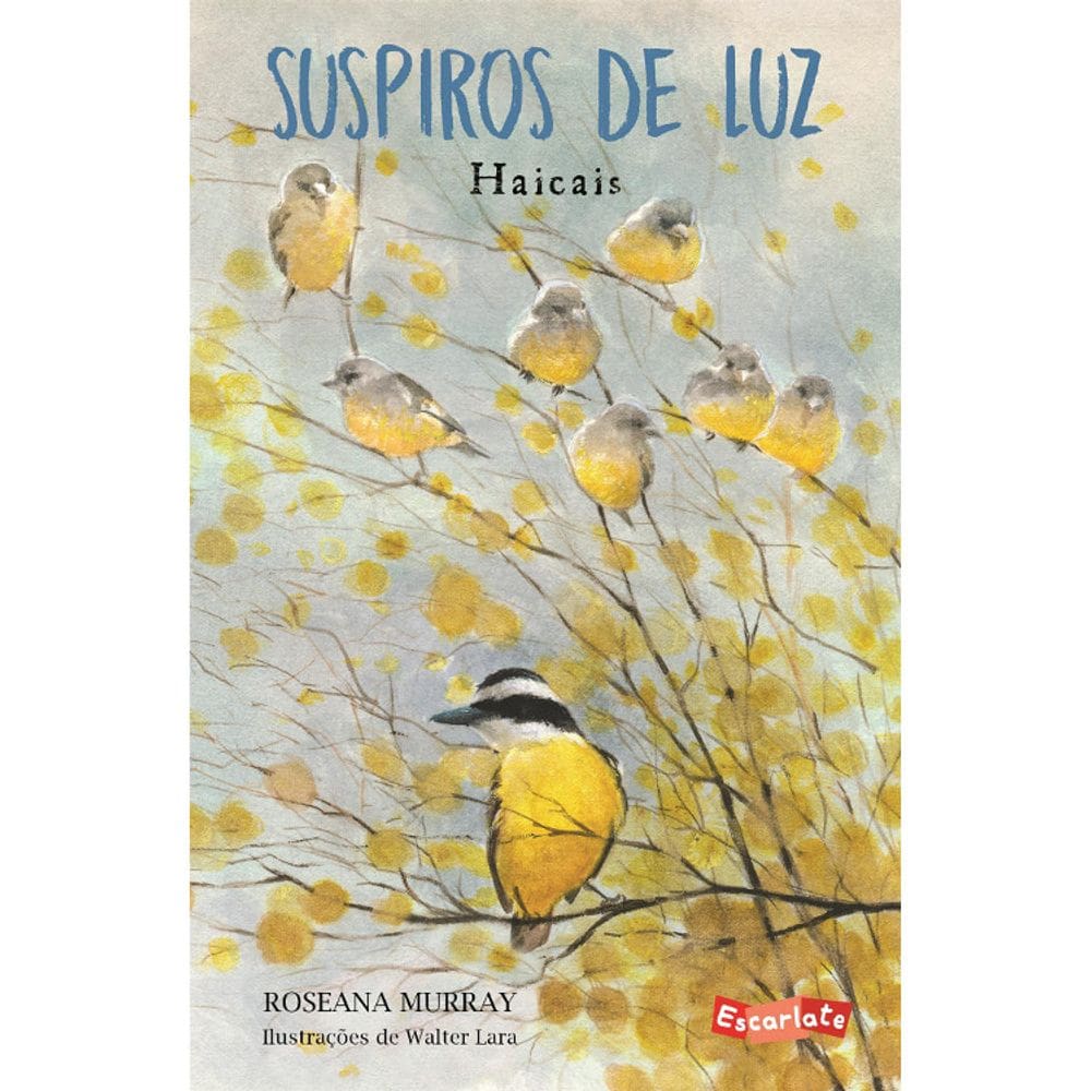 Suspiros De Luz - Haicais