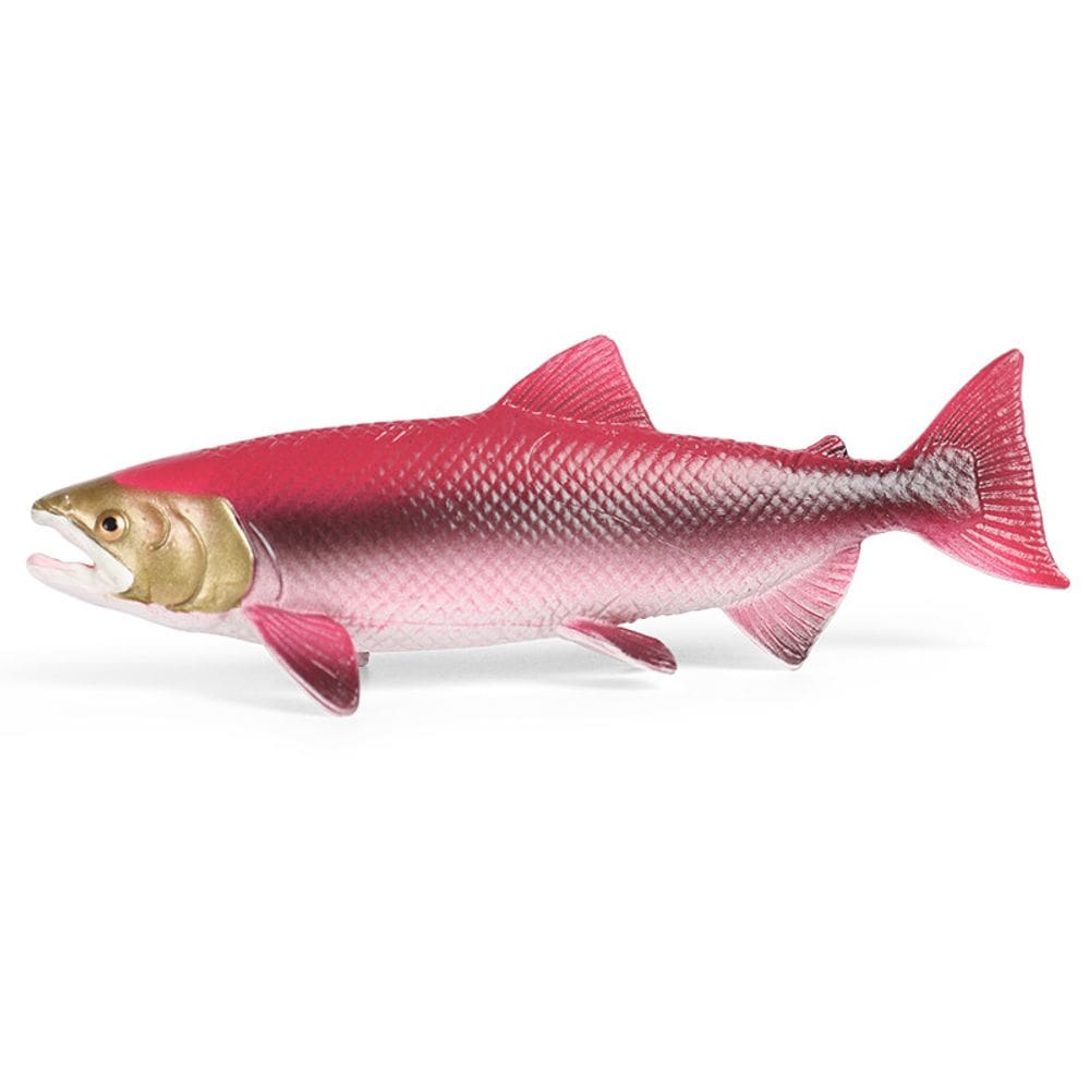 Estatueta de peixe salmão, modelo realista de animal oceânico em PVC
