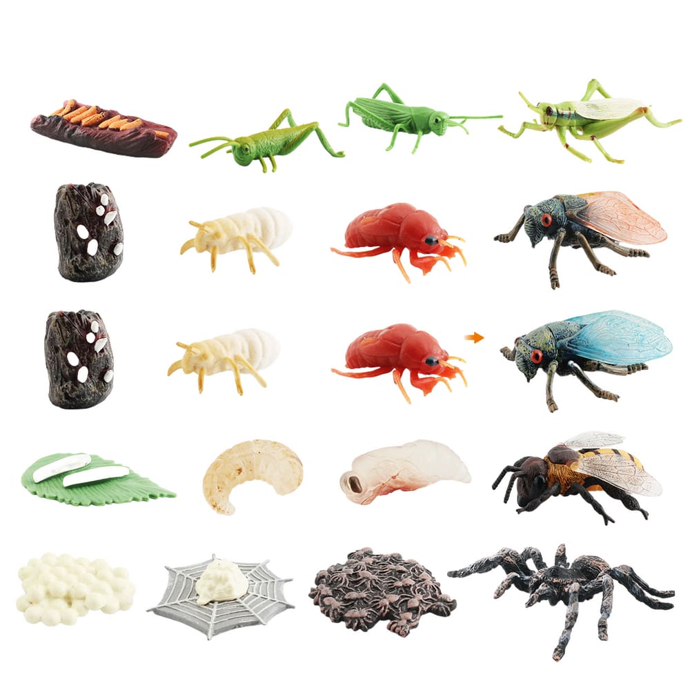 Conjunto de bonecos de ciclo de vida de insetos, modelos de insetos de PVC, 20 unidades para crianças