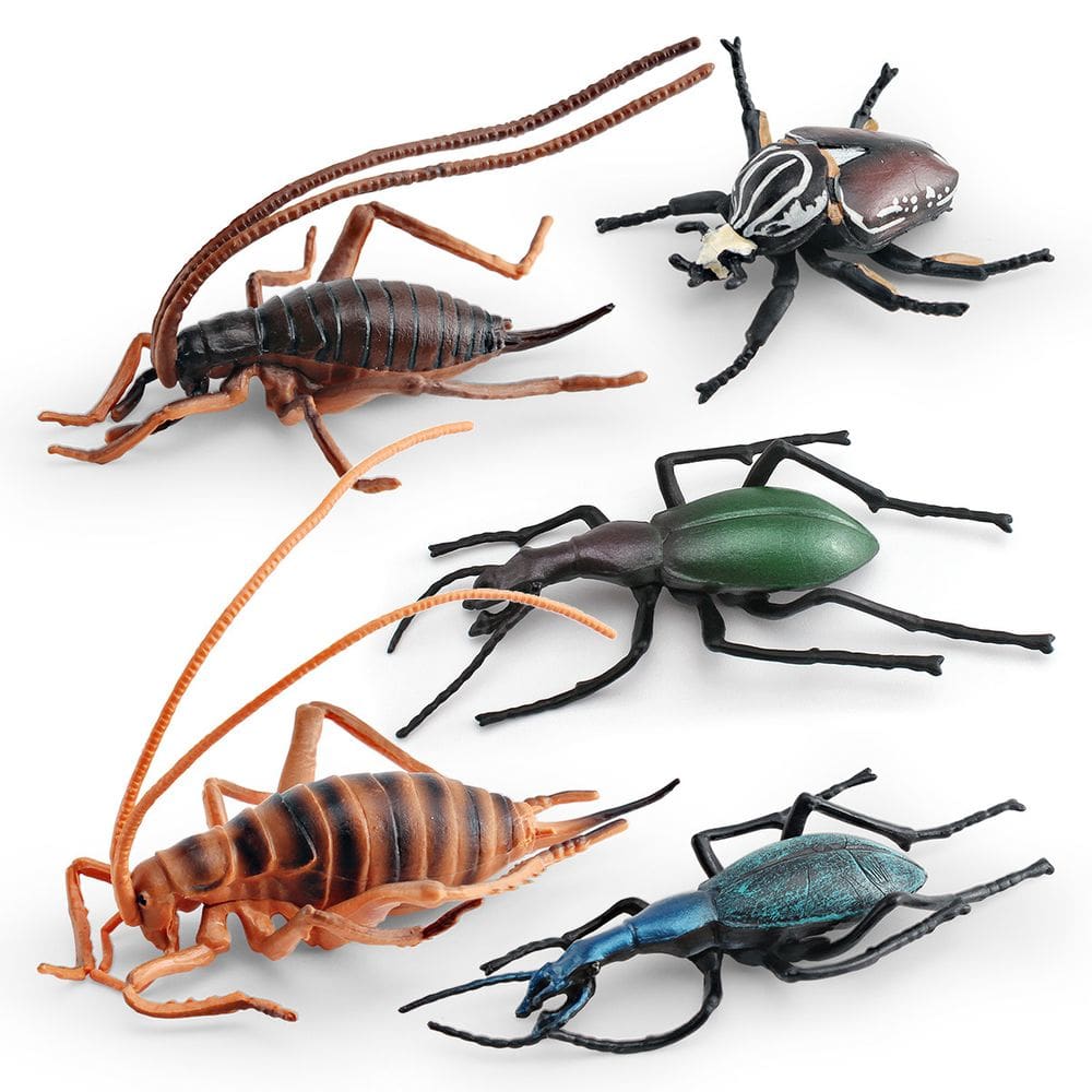 Conjunto de estatuetas de insetos, modelos realistas de PVC, 5 unidades para crianças