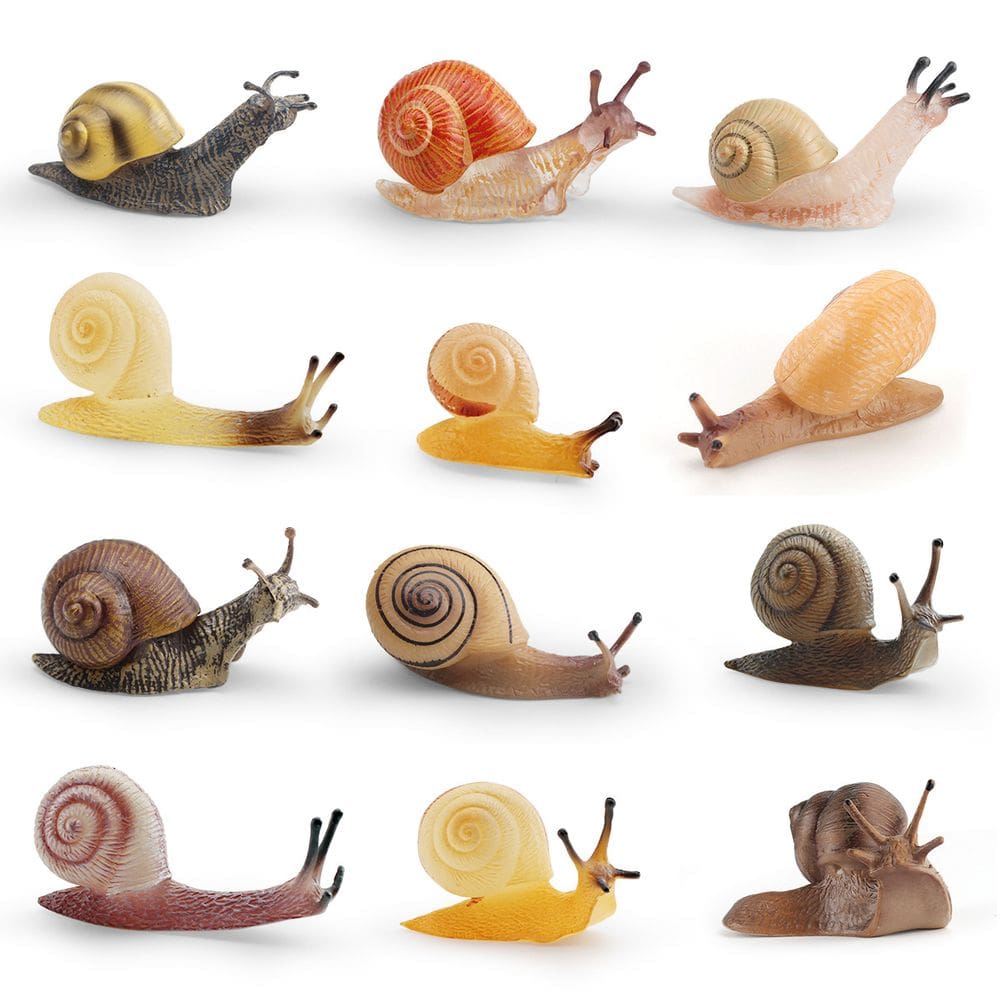 Conjunto de estatuetas Realistic Snail, 12 peças de PVC em miniatura, Nature Lover