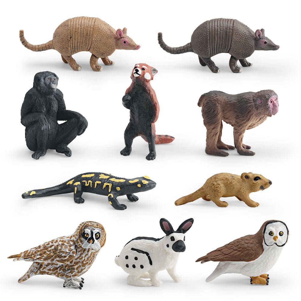 Conjunto de figuras de animais selvagens, 10 peças de brinquedos educativos de PVC para crianças