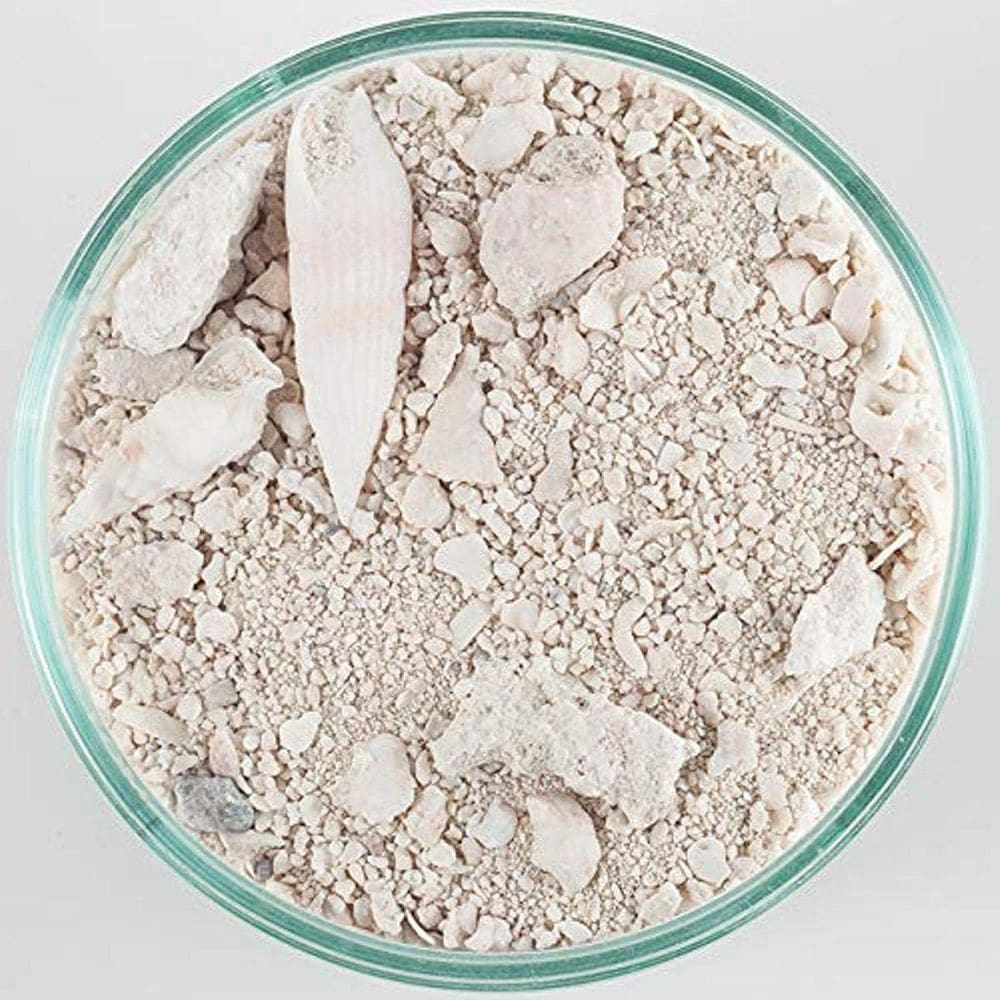 Aquário Natural Live Sand Carib Sea ACS00940 18,5 kg