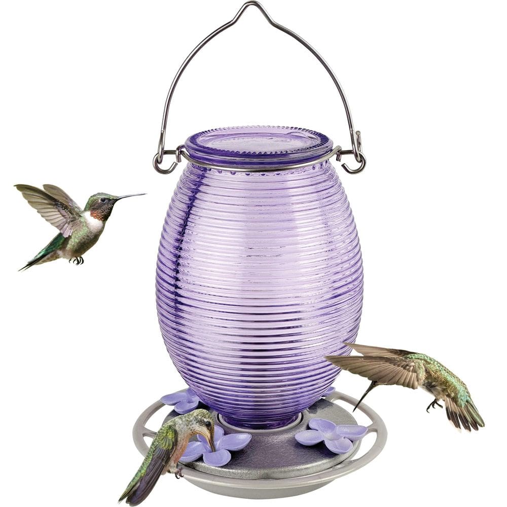 Comedouro para beija-flores Nature`s Way 857 ml lilás roxo