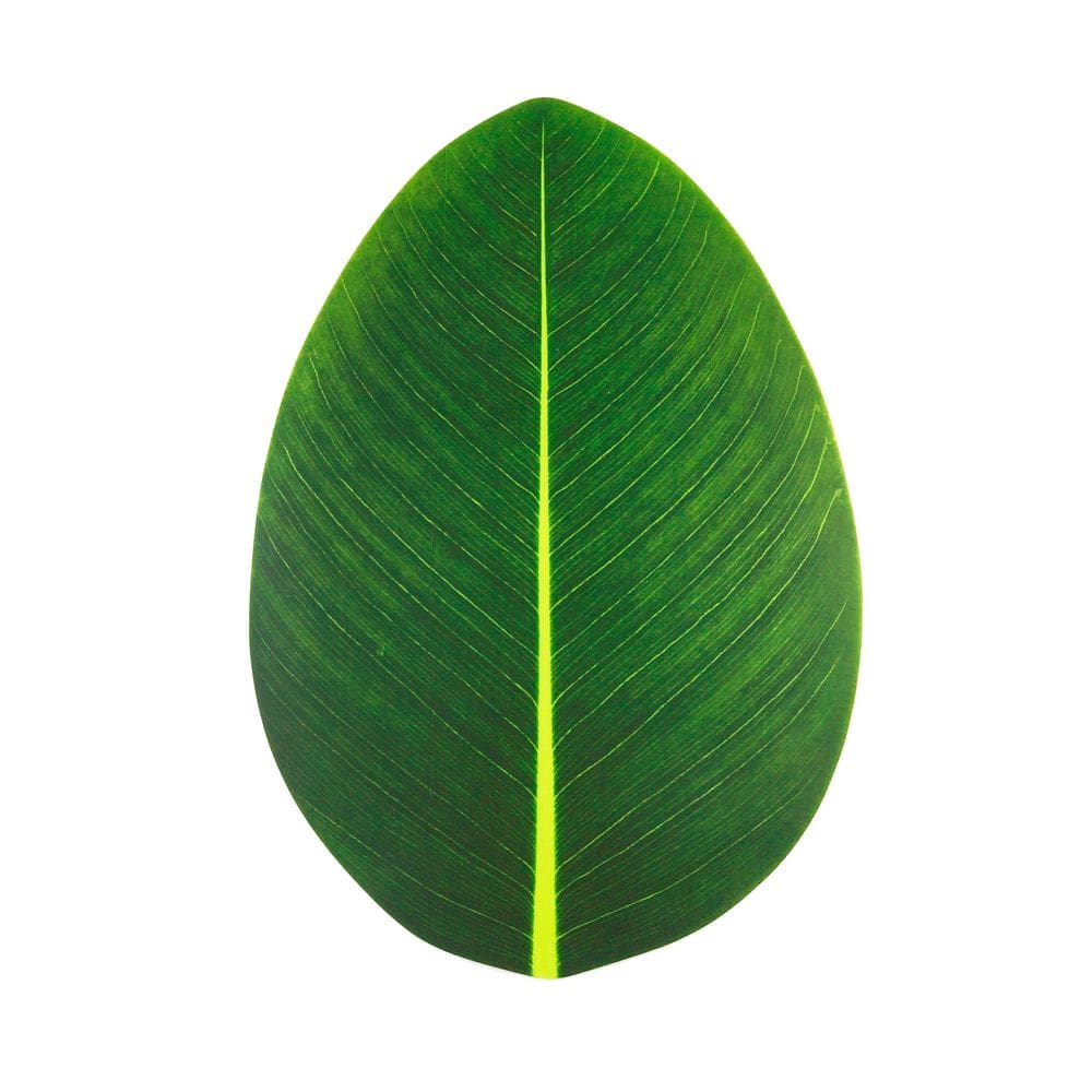 Lugar Americano de EVA C/Formato Folha Verde 47x32cm Lyor