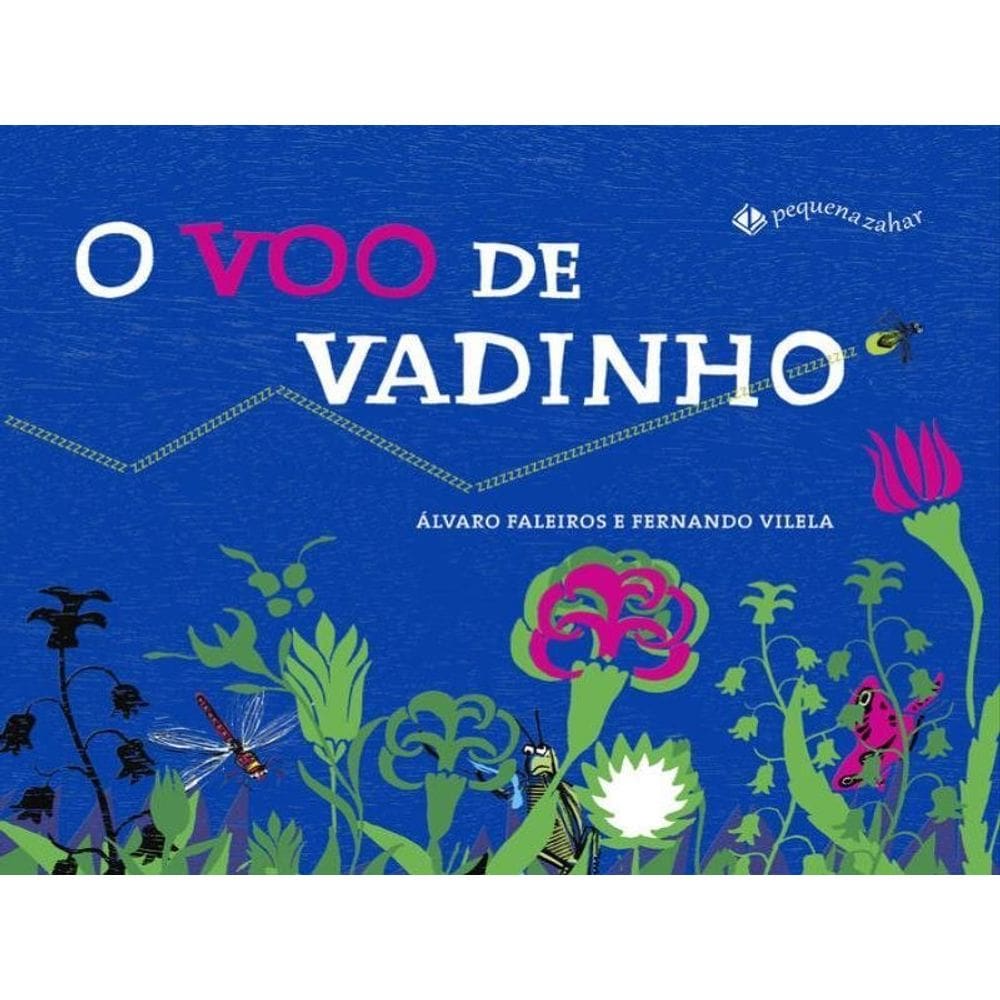 O Voo De Vadinho
