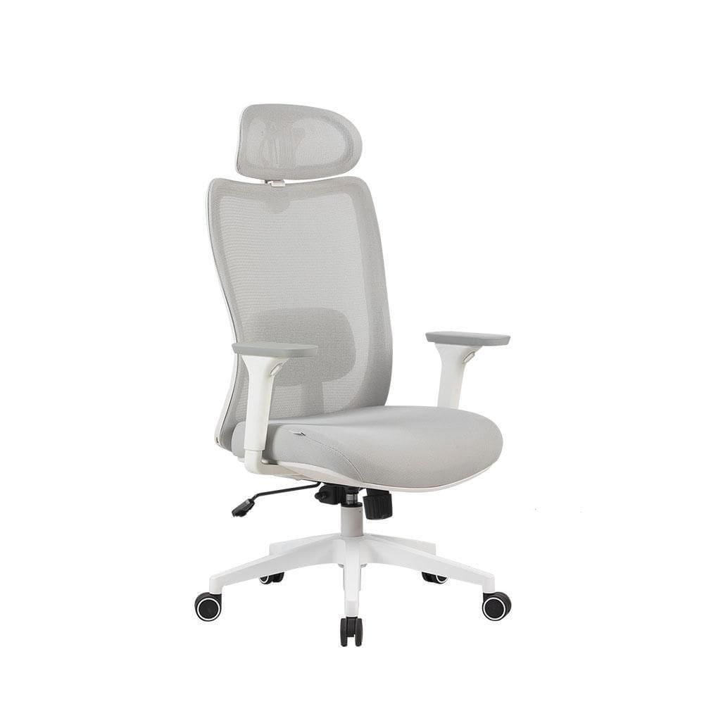 Cadeira Elements Ergonômica Astra Pro V2 Cinza E Branca