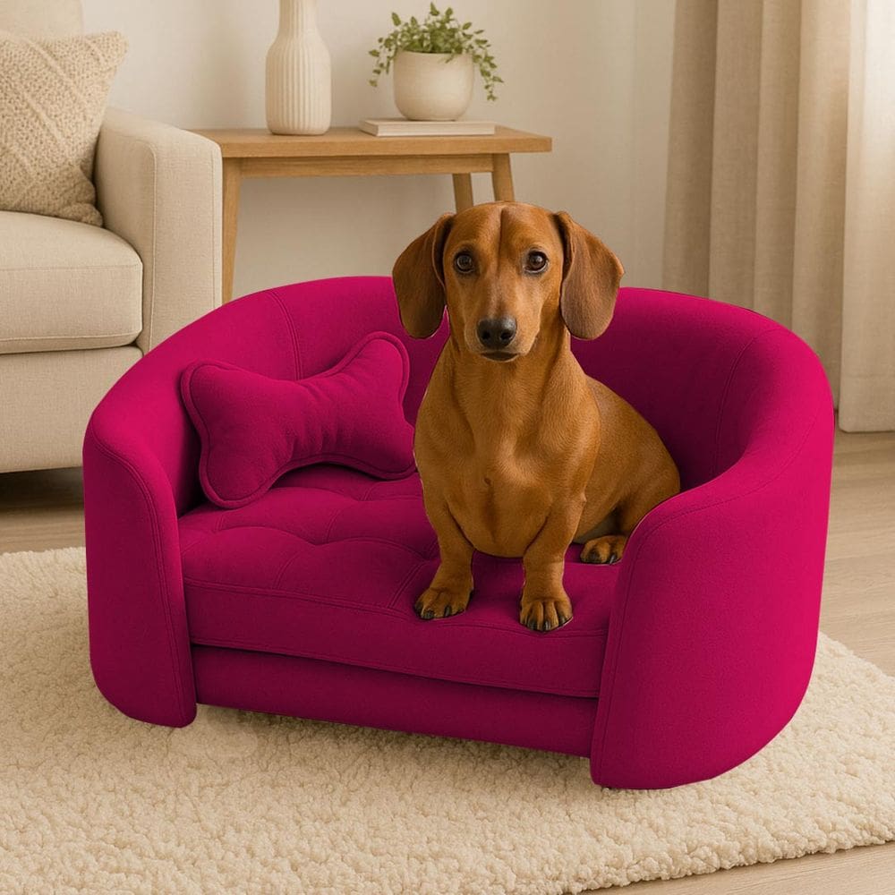 Poltrona Cama Pet Luxo Mell Veludo Premium Para Cães E Gatos Pink