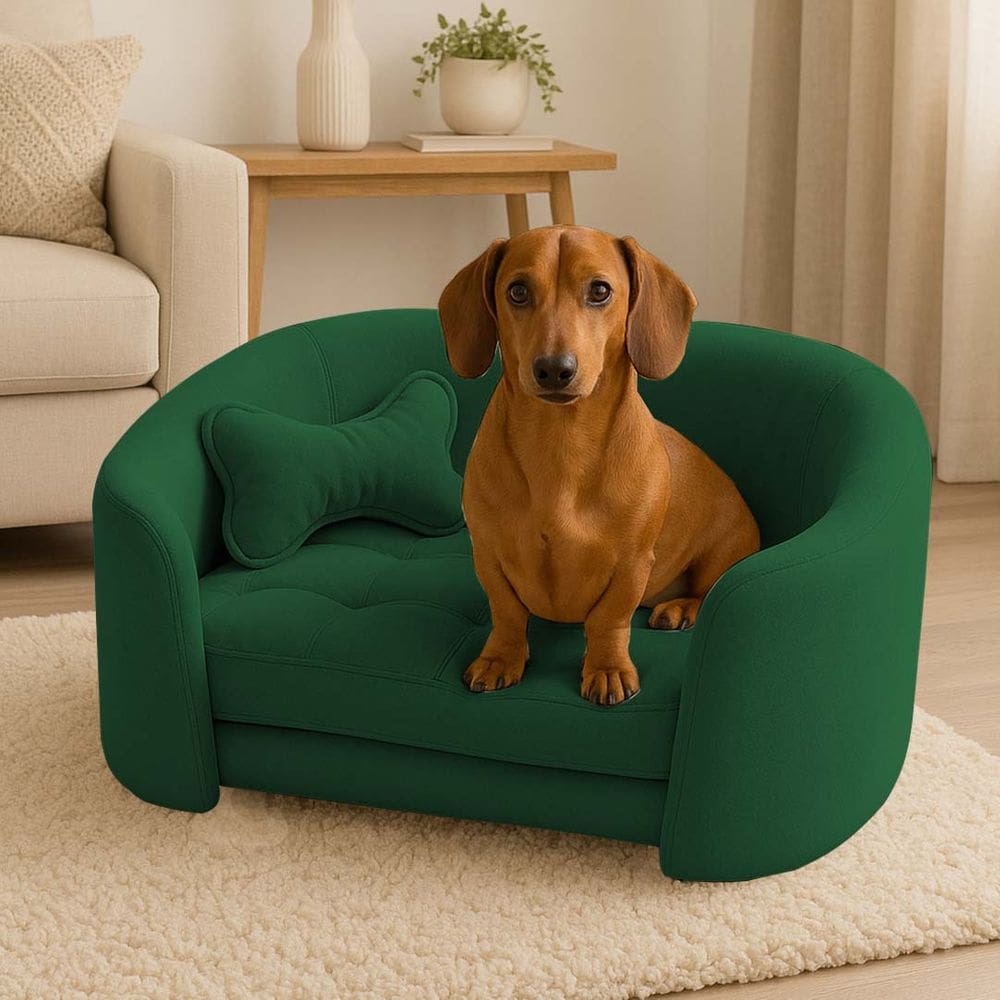 Poltrona Cama Pet Luxo Mell Veludo Premium Para Cães E Gatos Verde