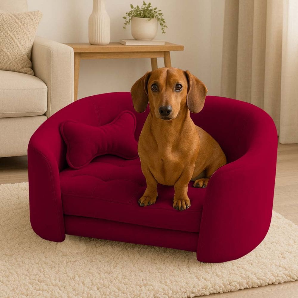 Poltrona Cama Pet Luxo Mell Veludo Premium Para Cães E Gatos Vermelho