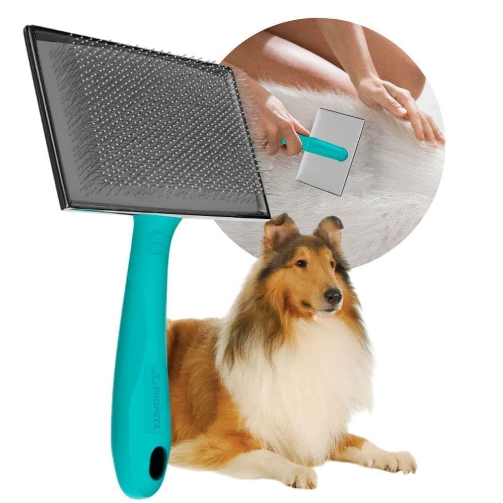 Rasqueadeira Grande Reta Com Bolinhas - Propetz