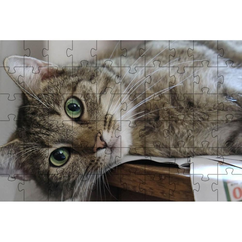 Quebra-Cabeça Gato Manhoso De 60 Peças Educativo E Cognitivo