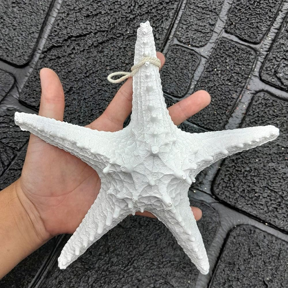 Enfeite Decorativo Estrela Do Mar Resina Casa Praia Mar 22cm