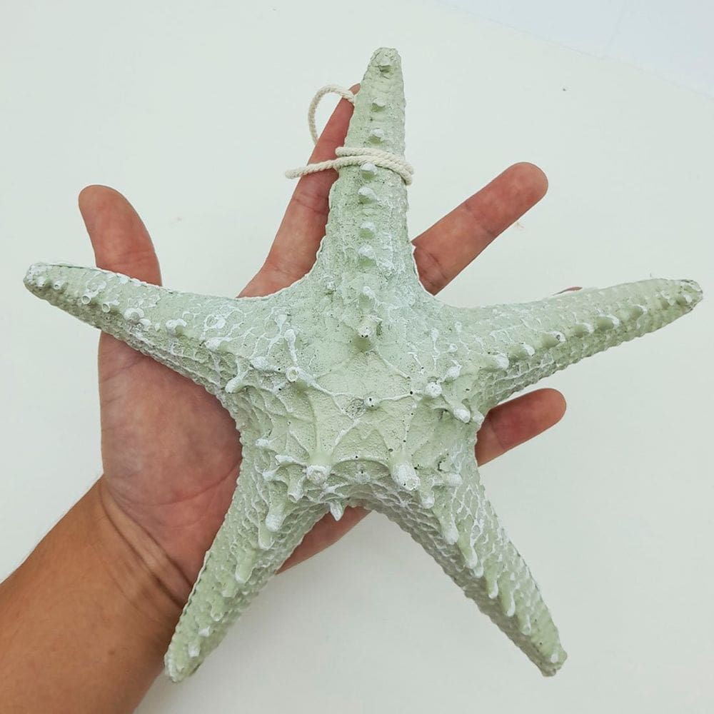 Enfeite Decorativo Estrela Do Mar Resina Casa Praia Mar 22cm