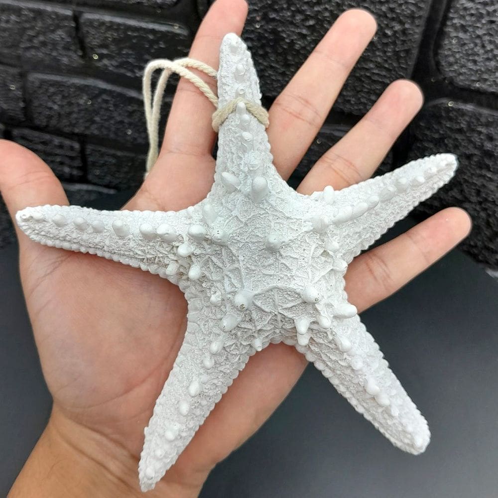 Enfeite Decorativo Estrela Do Mar Casa Praia Mar Resina 16cm