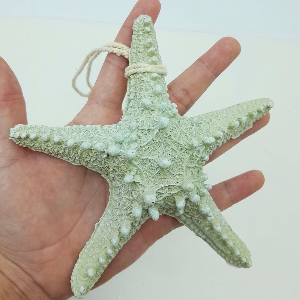 Enfeite Decorativo Estrela Do Mar Resina Casa Praia Mar 16cm