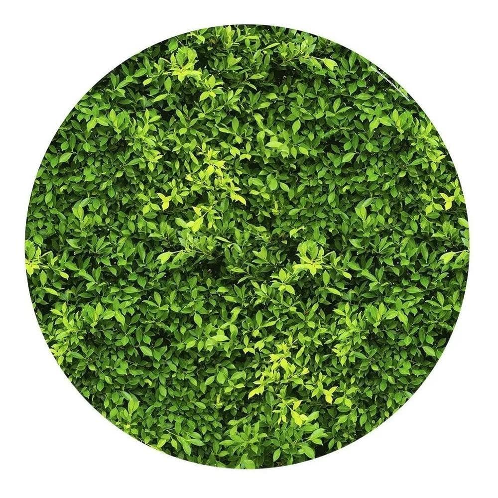 Painel Festa Redondo Sublimado 3D Tecido C/Elástic Muro Ingl