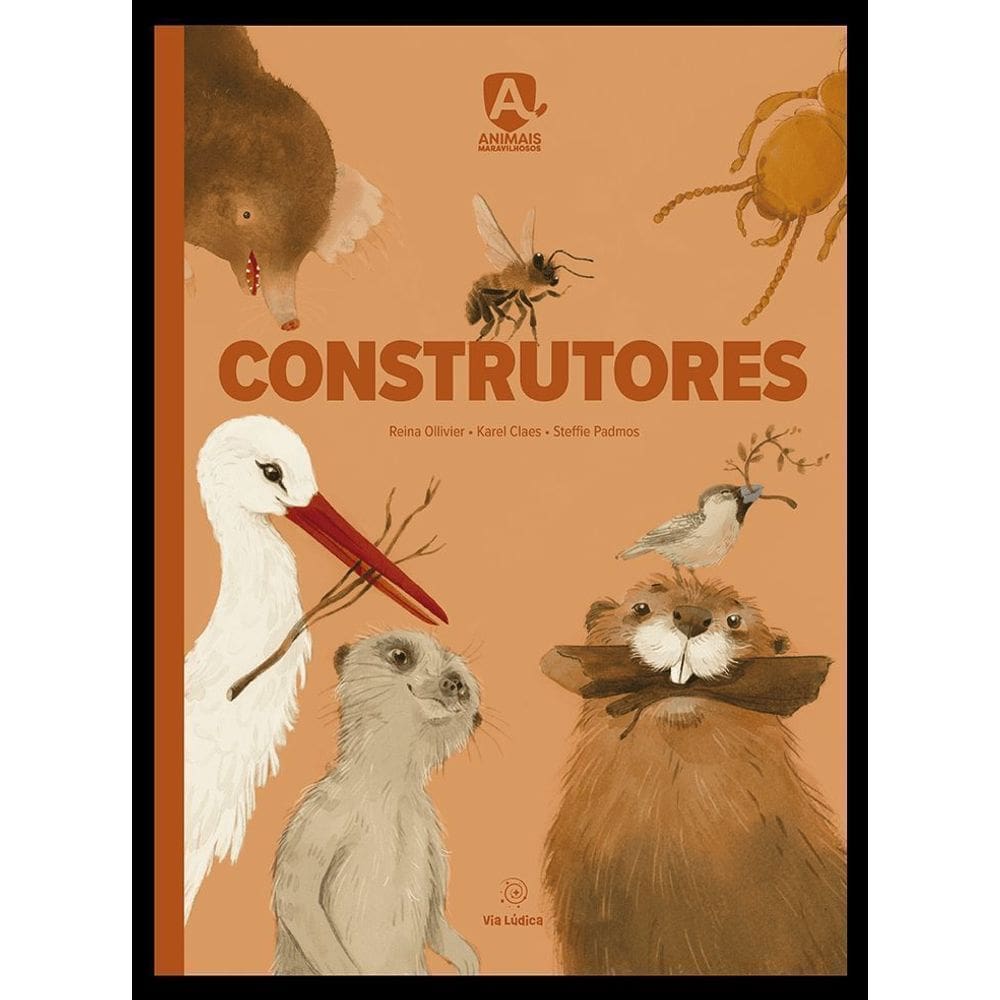 Construtores