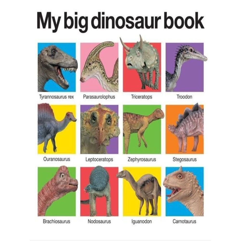 My Big Dinosaur Book