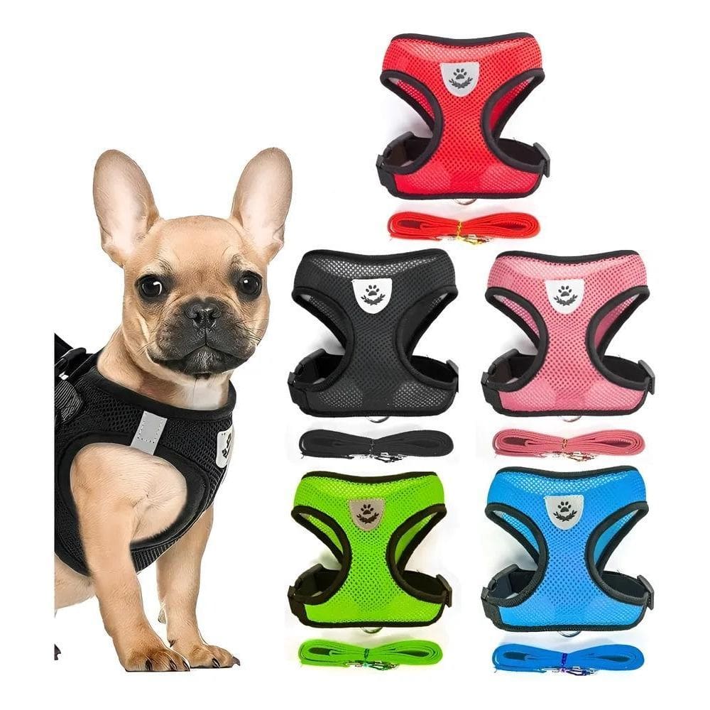 Coleira Peitoral Cachorros Cães E Gatos Filhote Shit Azul -