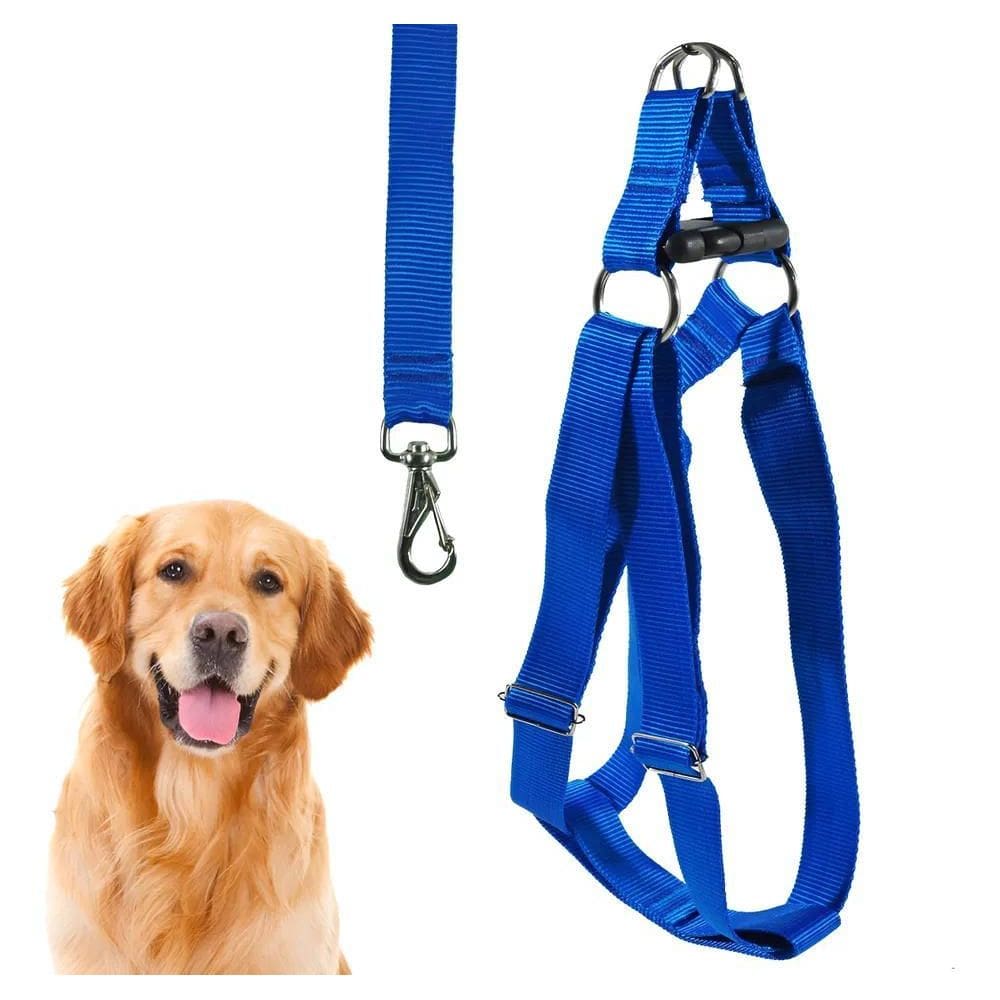 Coleira Cachorro Peitoral Porte Grande Pitbull Golden + G Az