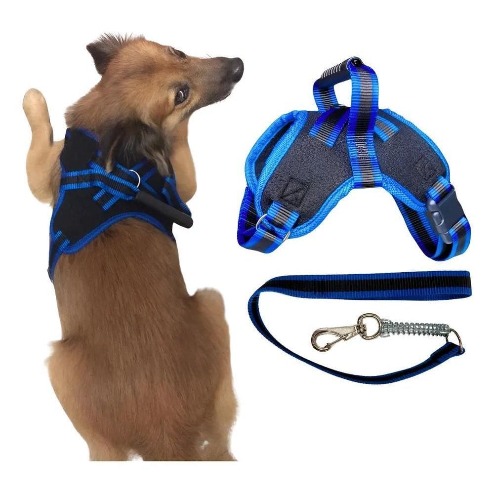Guia Para Cães Coleira Peitoral Com Alça Reforçado Pit Azul