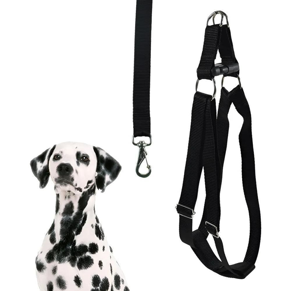 Coleira Cachorro Peitoral Porte Grande Husky Dálmata + Pret