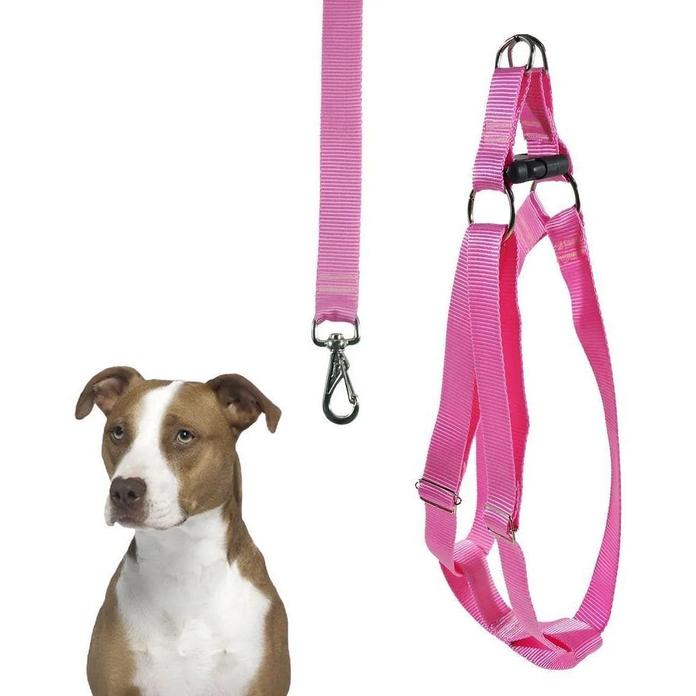 Coleira Cachorro Peitoral Porte Grande Husky Dálmata + G Ros