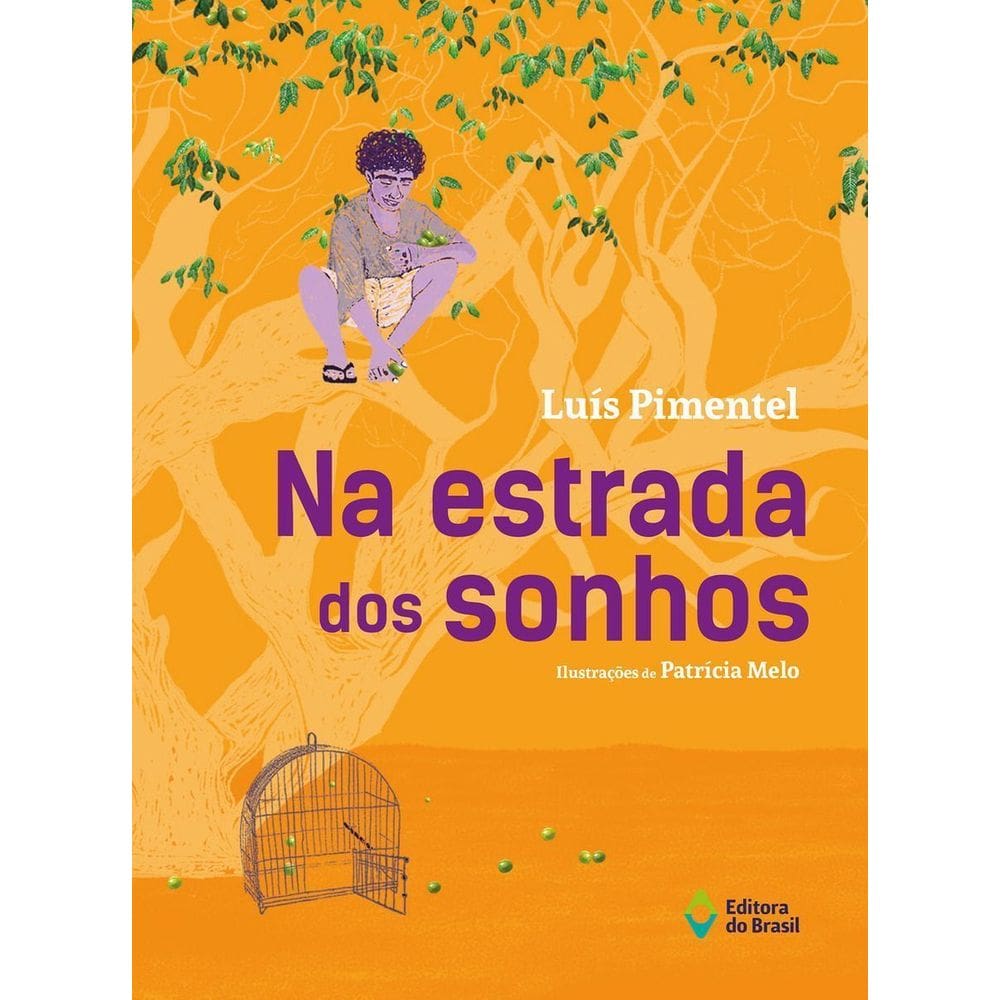 Na Estrada Dos Sonhos