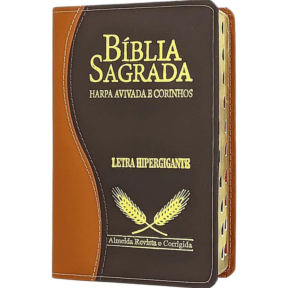 Bíblia Letra Hipergigante Com Harpa Ed. Promessas - Azul