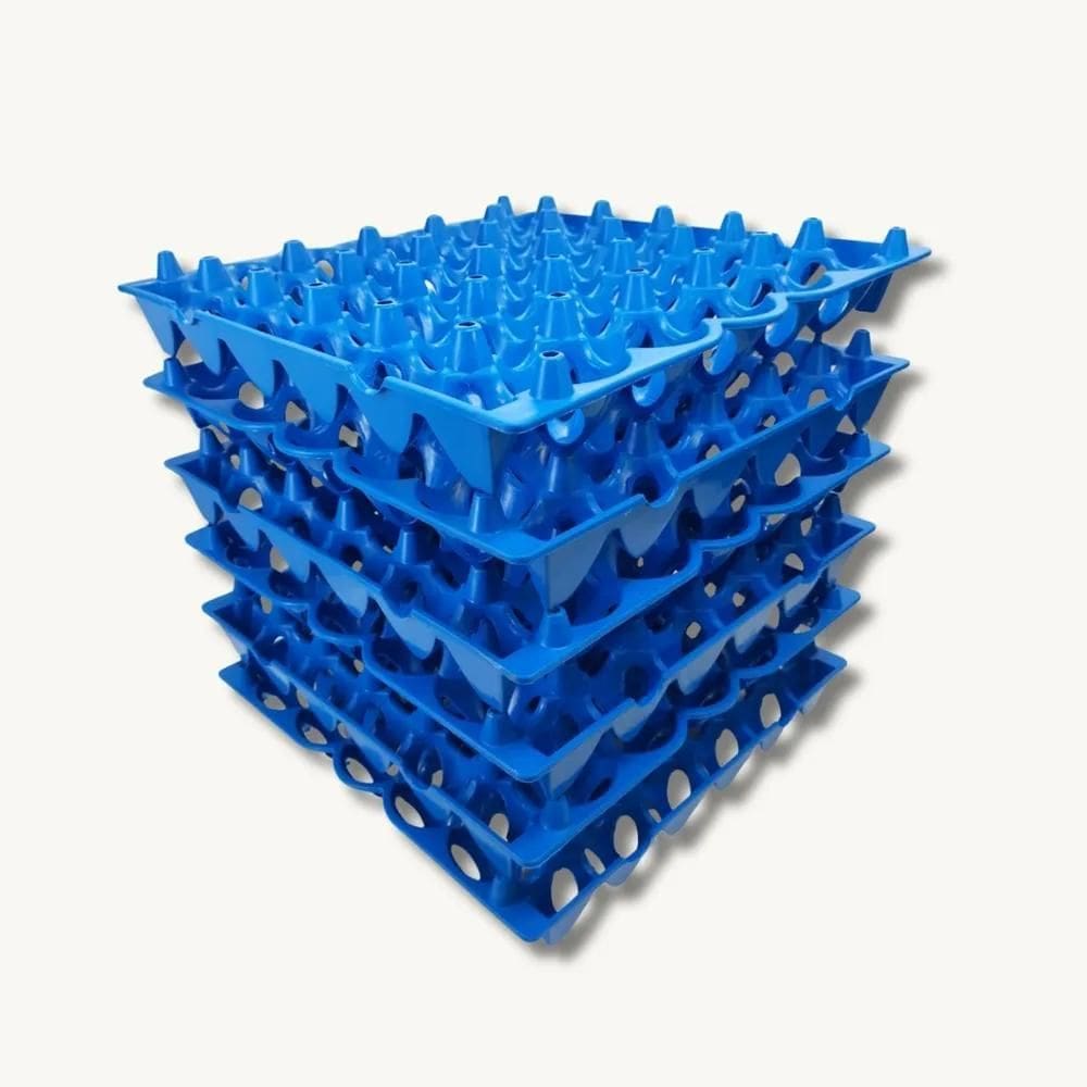 Bandeja Plástica Porta Ovo Cartela Higiênica 06 Unid.