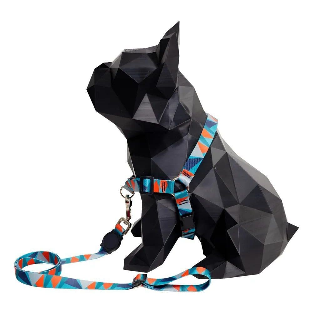 Coleira Antipuxão Easy Walk Com Guia Para Adestram Cor Trian