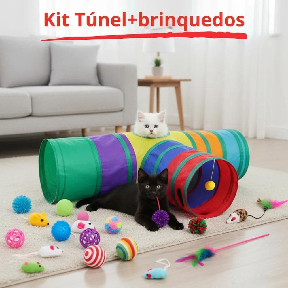 Brinquedo Para Gatos Túnel Interativo Pets Filhotes Dualpet