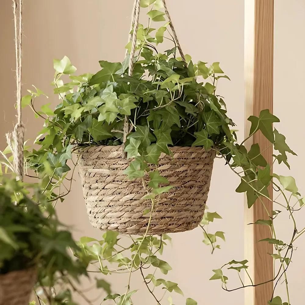 2X Cesto Vaso Cachepo De Palha Decorativo Sala Varanda Jardi