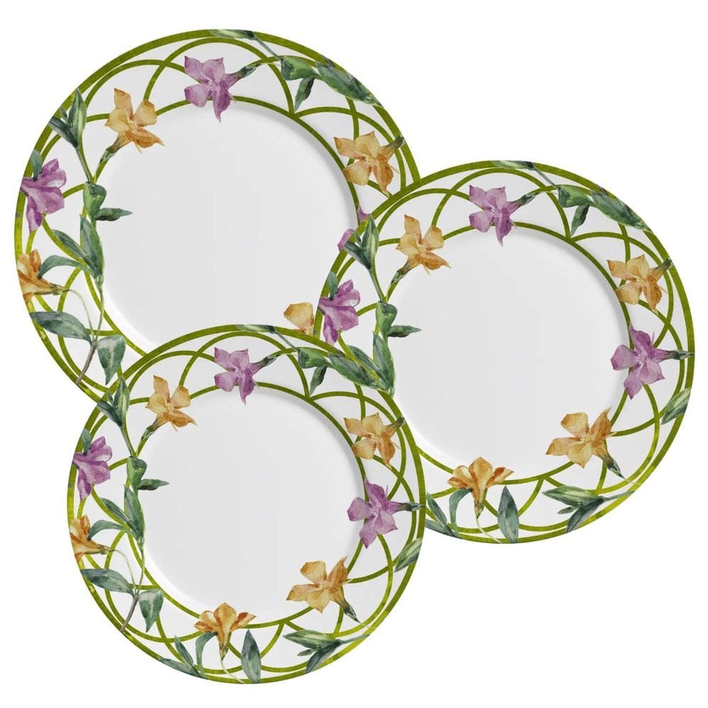 Aparelho De Jantar Jogo Pratos Kit 12 Pçs Campos Cerâmica