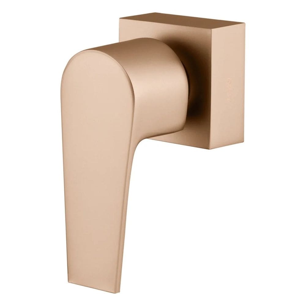 Acabamento para Registro 3/4, 1/2 e 1 Fani Bold Champagne 509 CH370