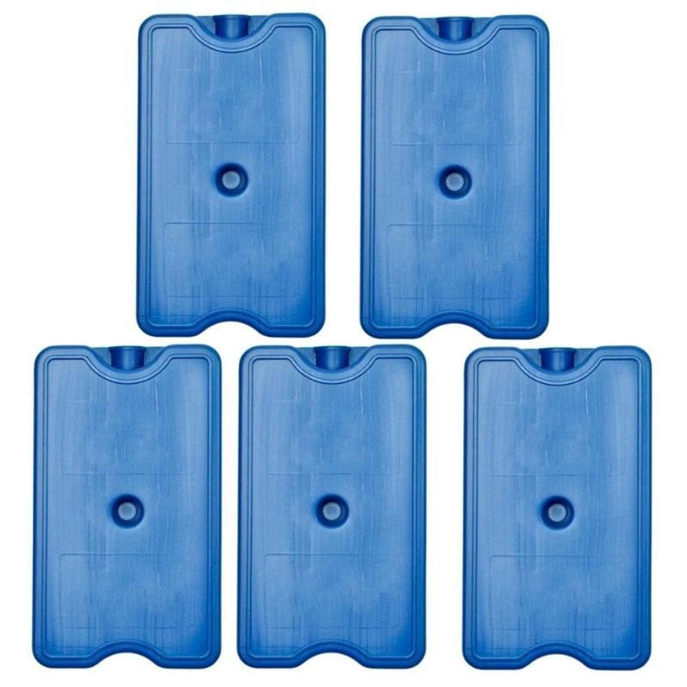 5 Placa Gelox Gelo Artificial Reutilizavel Bolsa Térmica