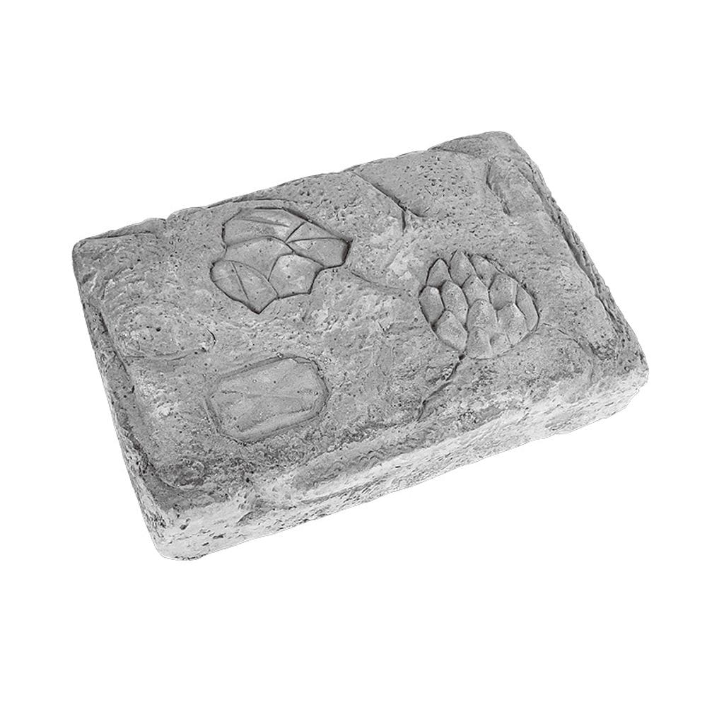 Kit Science Fossil Dig de escavação de dinossauros para crianças com ferramentas