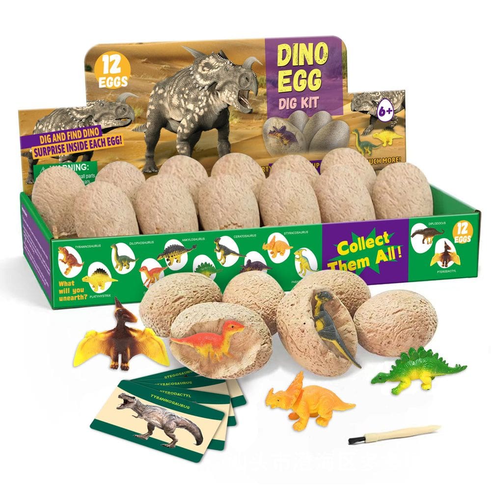 Kit de escavação de ovos de dinossauro, 12 unidades, Science Excavation, para crianças